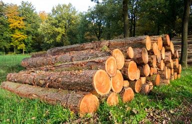 Natürliche Änderungen von FHS Treppen GmbH Ihrem Treppenbauer